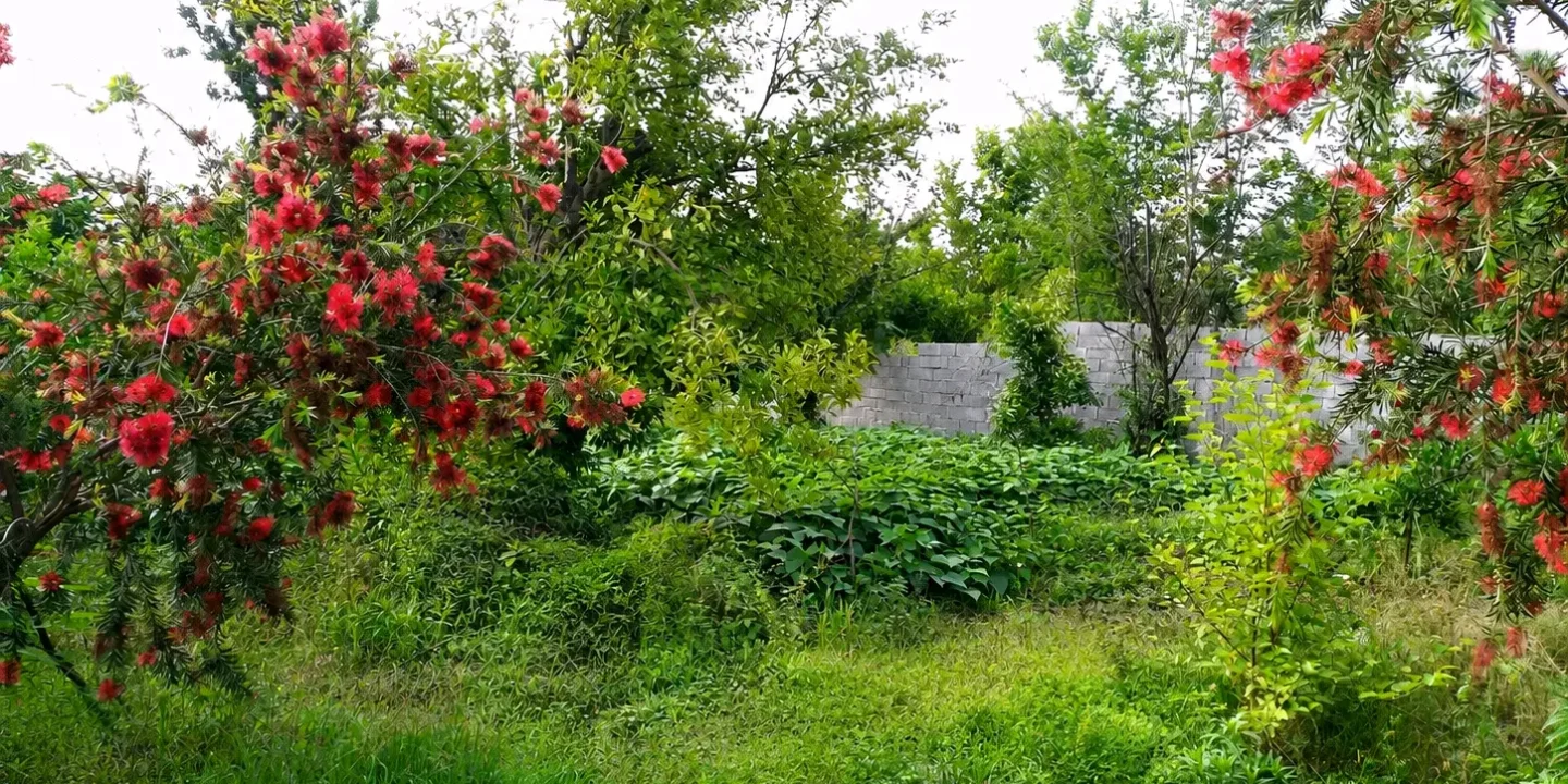زمین دارای پروانه ساخت | ۳۴۲ متر، ۲ واحدی