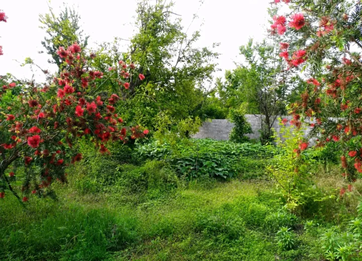 زمین دارای پروانه ساخت | ۳۴۲ متر، ۲ واحدی