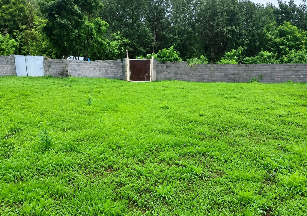 6500 متر زمین مناسب سرمایه گذاری