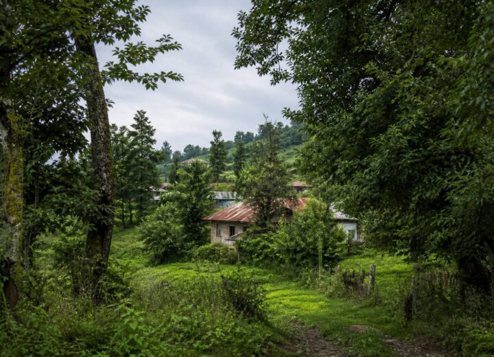 🏡 فروش زمین در کوهبنه